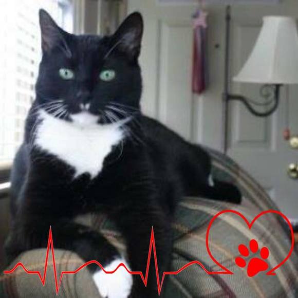 Poshmark profile picture for @sabbath